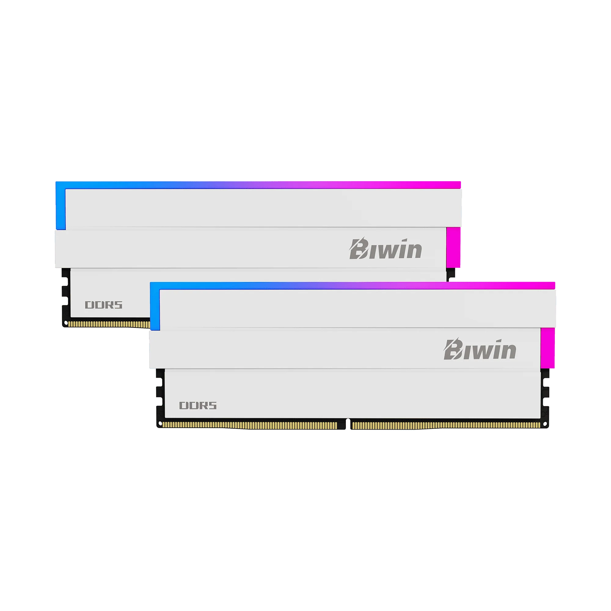 Biwin Black Opal DW100 32GB 2x16 6000Mhz CL36 DDR5 RGB Gaming Memory White
