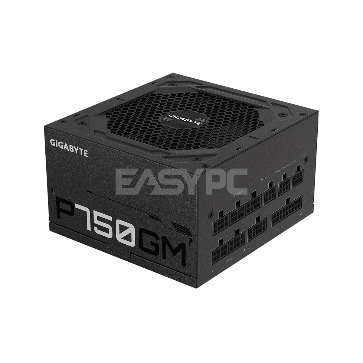 Gigabyte P750GM 750 watts 80 Plus Power Supply Gold
