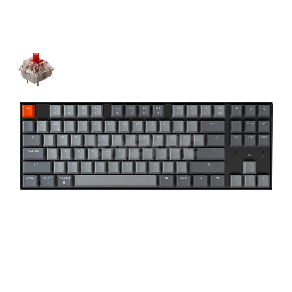 Keychron K8 RGB TKL Mechanical Keyboard - Red Switch/Plastic/Gateron Hot-Swappable /87 keys/ Wireless & Wired/For Mac/iOS/Windows/Android, Type C Plug (K8H1) 4JTP KEK81640