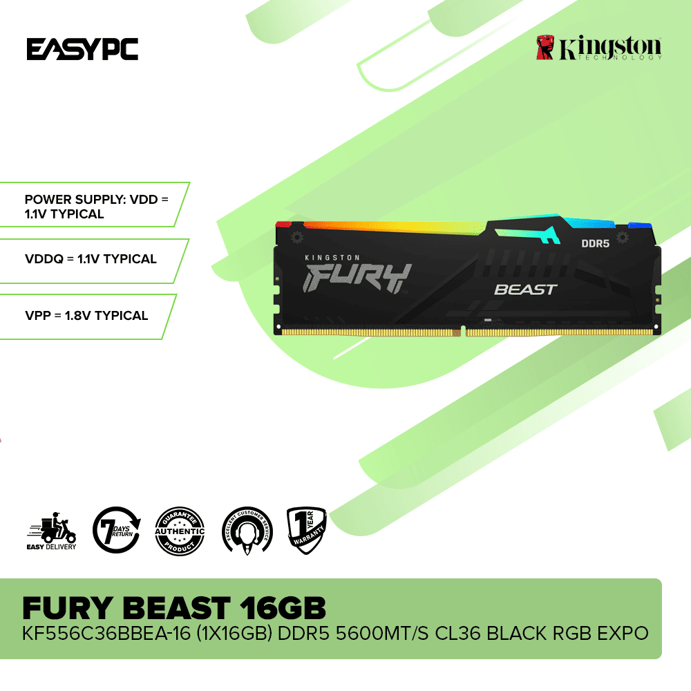 Kingston Fury Beast KF556C36BBEA-16 16GB (1x16GB) DDR5 5600MT/s CL36 Black RGB EXPO - Image 2