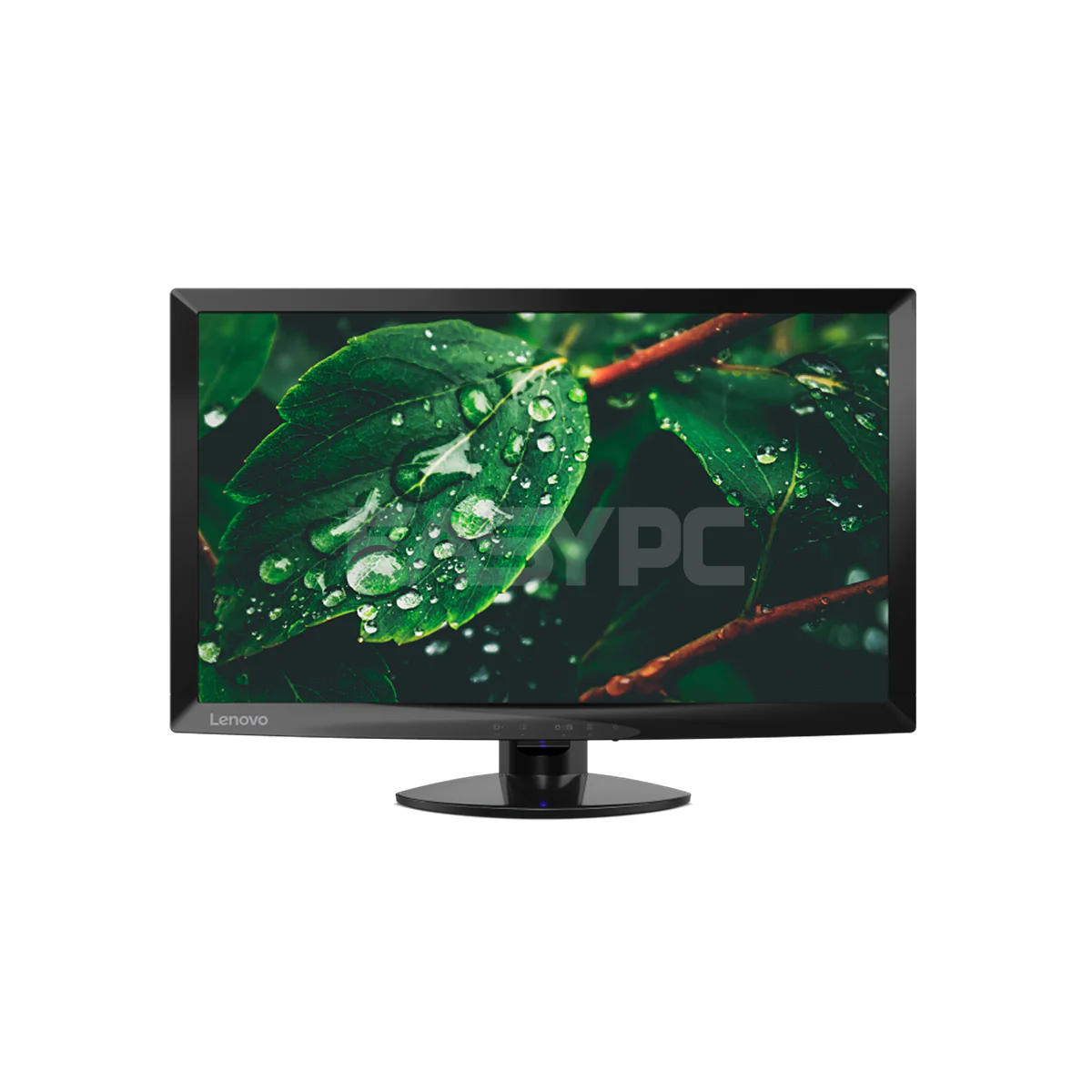 Lenovo D24-10 23.8 Inches 60Hz TN Monitor
