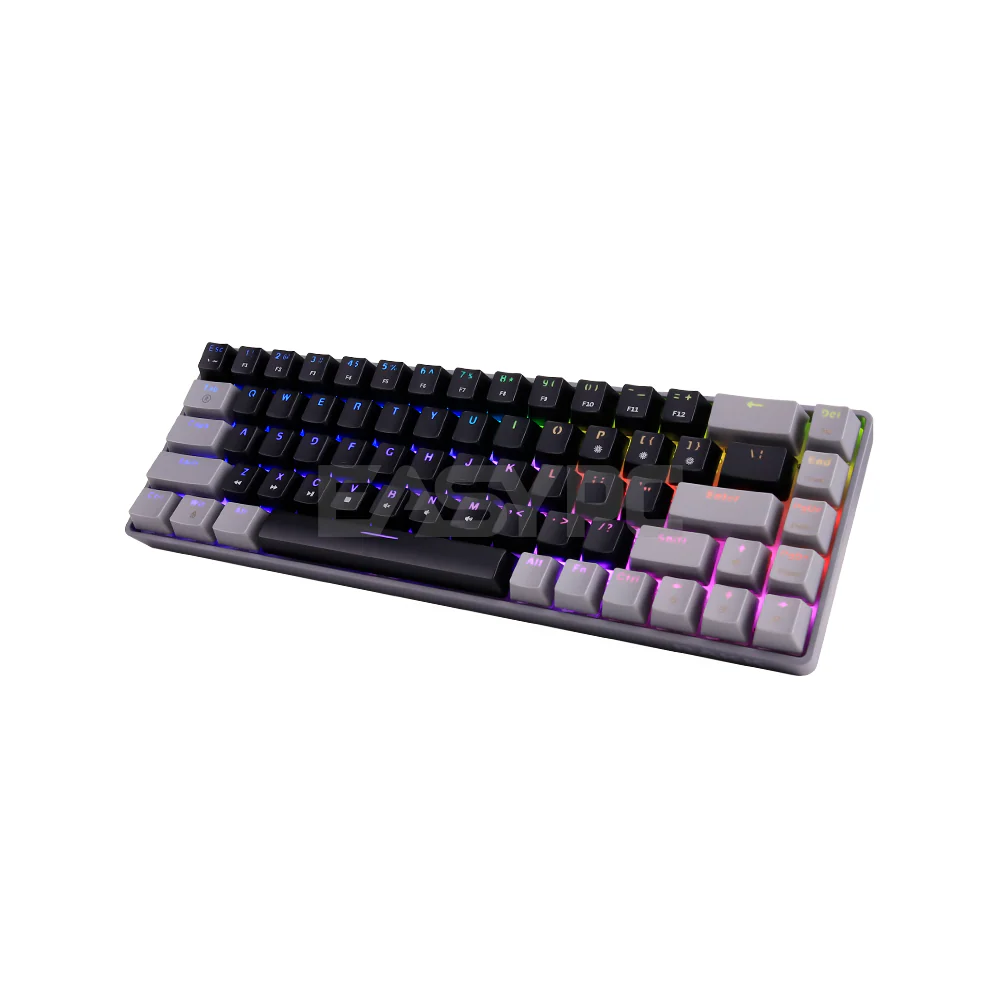 RAKK DIWA V3 68 Keys Huano Switch Mechanical Gaming Keyboard Gray/Black - Image 3