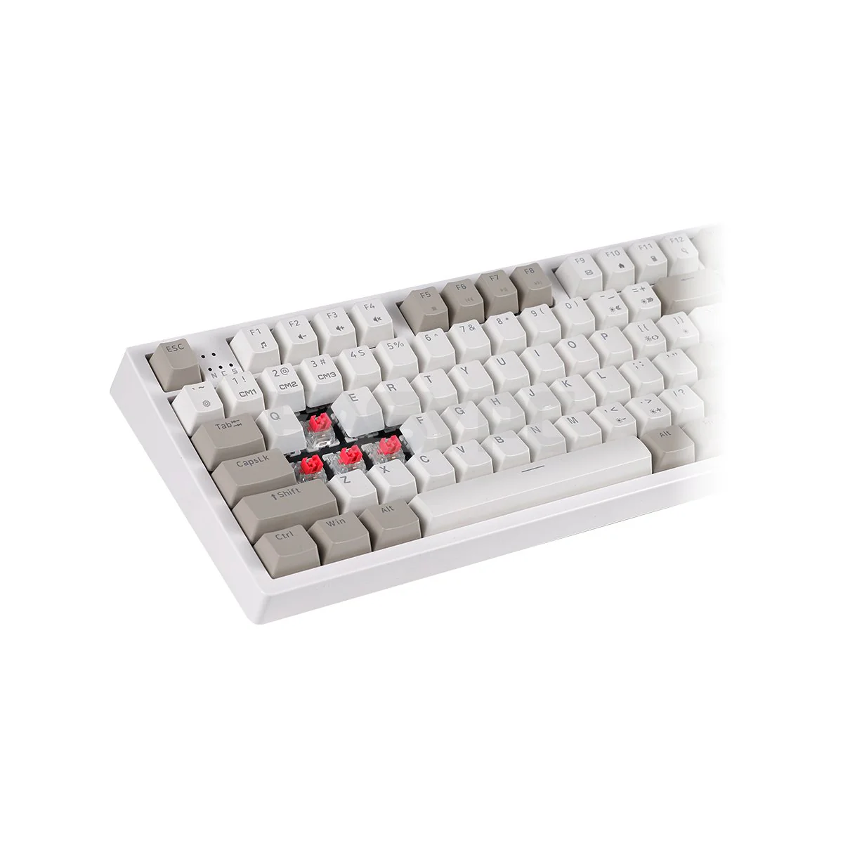 Rakk Ilis Outemu Red/Blue PBT Keycaps Mechanical, and Ilis Type-C Gaming Keyboard and Rakk Bundles