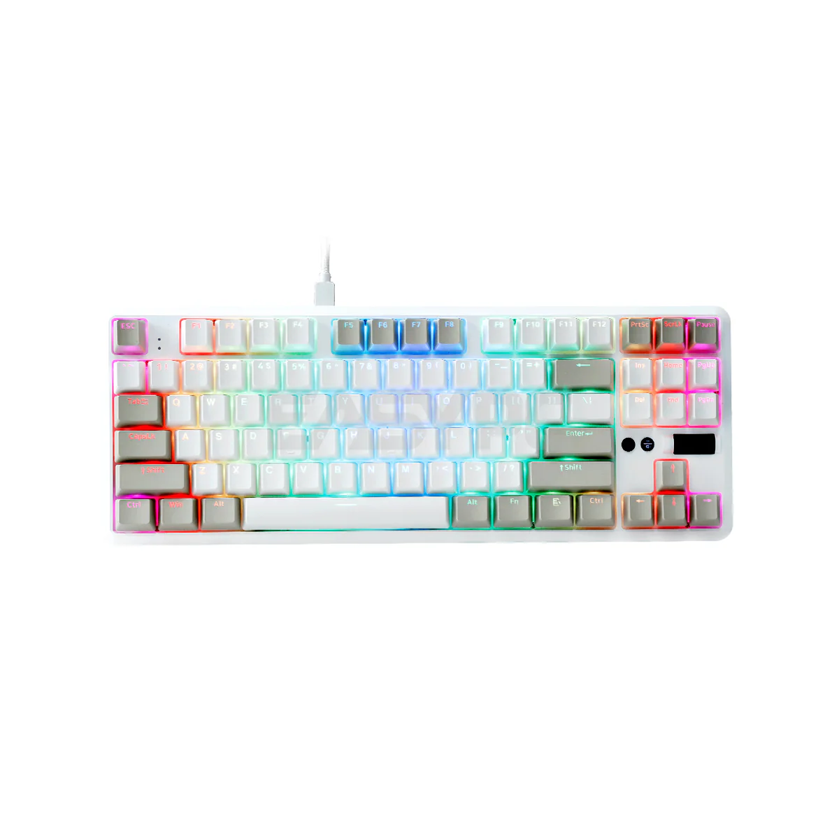 RAKK Lam-Ang Lite RGB Mechanical Keyboard Outemu PBT Red/ Blue White Keycaps - Image 5