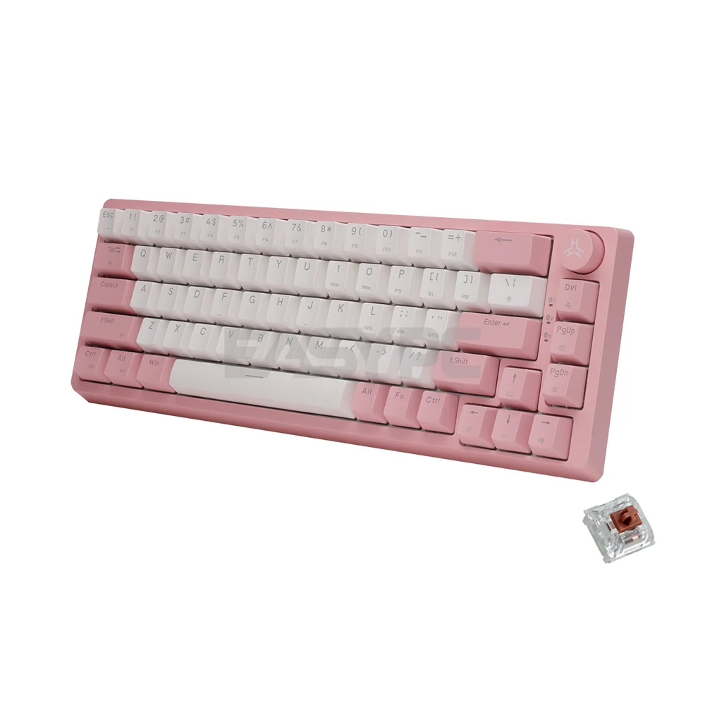 RAKK PIRAH Wireless Gaming Keyboard Pink Hot swappable Socket 65% Layout + 5-PIN Mechanical Switch Bundles - Image 16