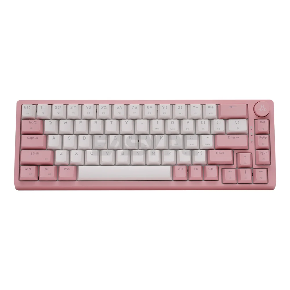 RAKK PIRAH Wireless Gaming Keyboard Pink Hot swappable Socket 65% Layout + 5-PIN Mechanical Switch Bundles - Image 4
