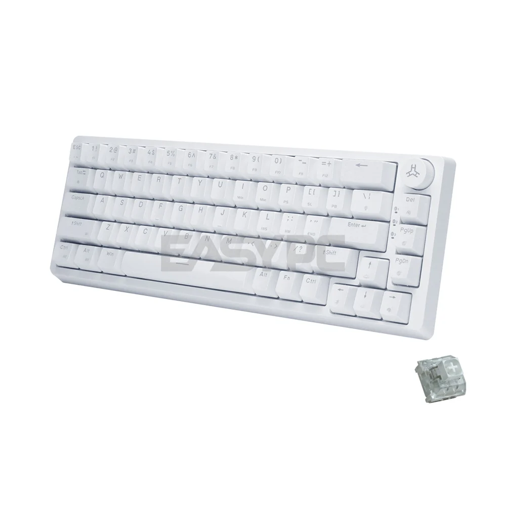 RAKK PIRAH Wireless Gaming Keyboard White Hot swappable Socket 65% Layout + 5-PIN Mechanical Switch Bundles - Image 11
