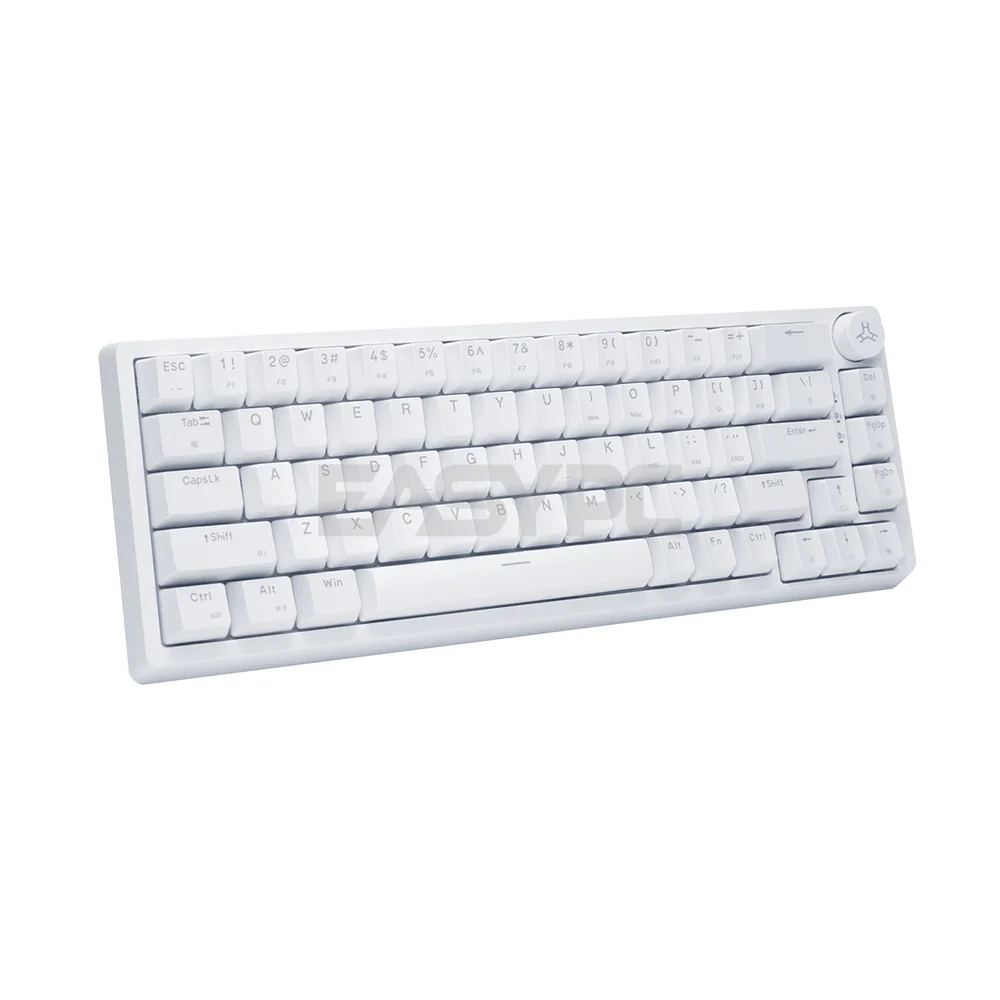RAKK PIRAH Wireless Gaming Keyboard White Hot swappable Socket 65% Layout + 5-PIN Mechanical Switch Bundles - Image 15