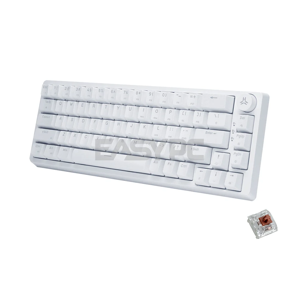 RAKK PIRAH Wireless Gaming Keyboard White Hot swappable Socket 65% Layout + 5-PIN Mechanical Switch Bundles - Image 16