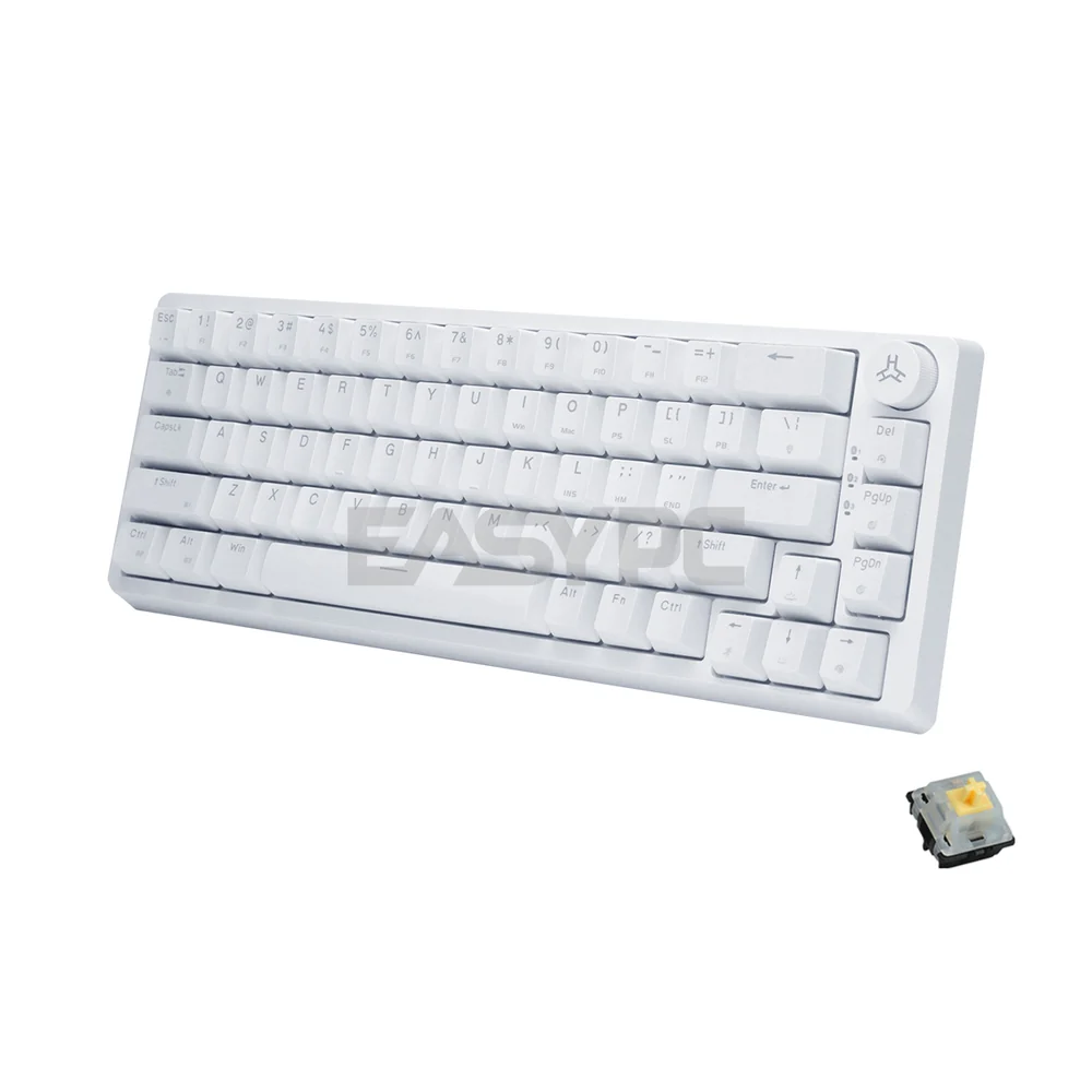 RAKK PIRAH Wireless Gaming Keyboard White Hot swappable Socket 65% Layout + 5-PIN Mechanical Switch Bundles - Image 21