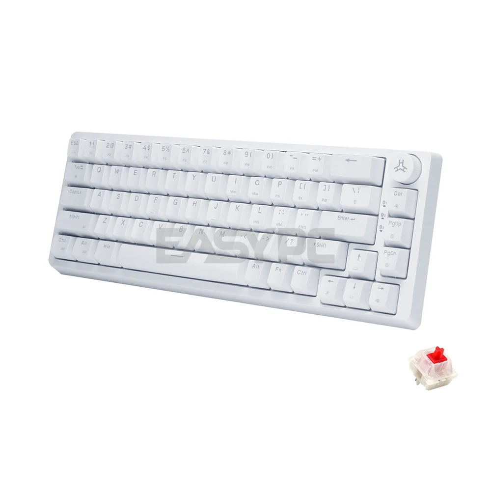 RAKK PIRAH Wireless Gaming Keyboard White Hot swappable Socket 65% Layout + 5-PIN Mechanical Switch Bundles - Image 26
