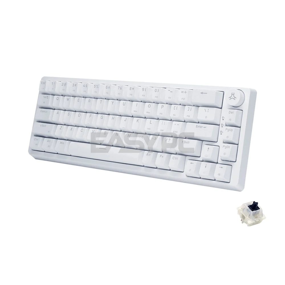 RAKK PIRAH Wireless Gaming Keyboard White Hot swappable Socket 65% Layout + 5-PIN Mechanical Switch Bundles - Image 31