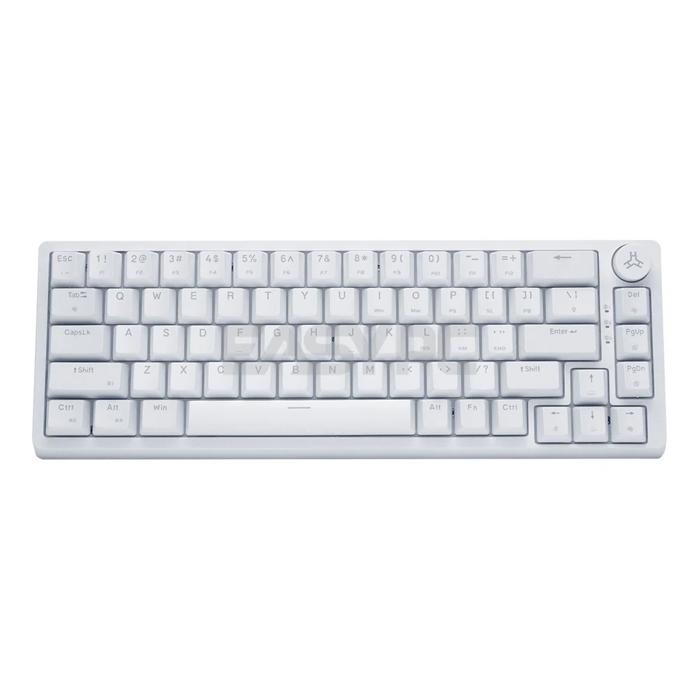 RAKK PIRAH Wireless Gaming Keyboard White Hot swappable Socket 65% Layout + 5-PIN Mechanical Switch Bundles - Image 4