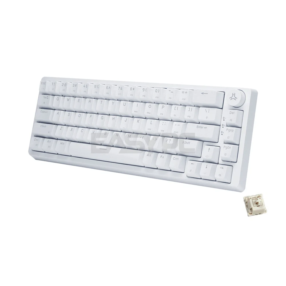 RAKK PIRAH Wireless Gaming Keyboard White Hot swappable Socket 65% Layout + 5-PIN Mechanical Switch Bundles - Image 6