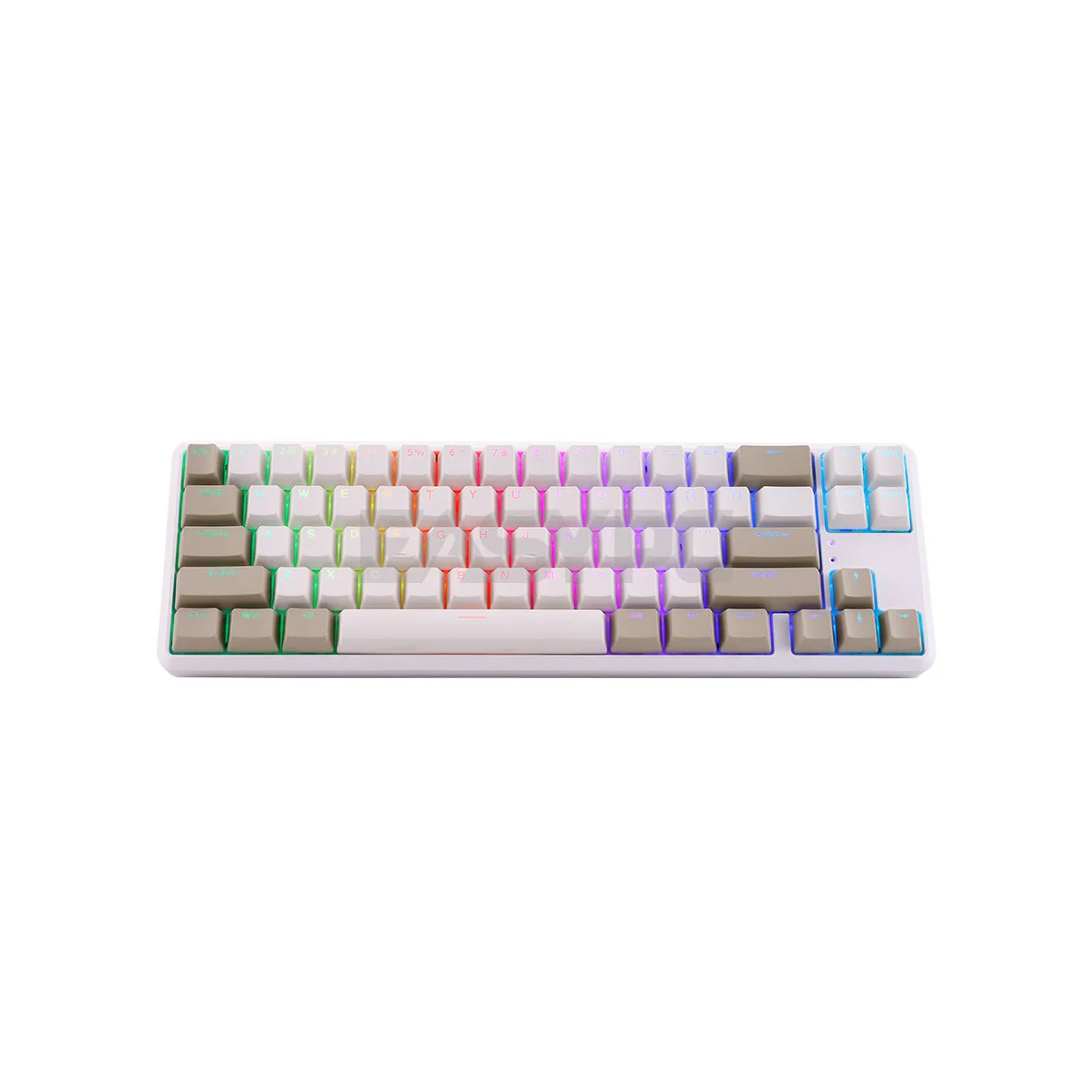 RAKK Pluma and Trimode 68 Keys RGB White and Black Mechanical Gaming Keyboard Outemu Red/Blue - Image 13