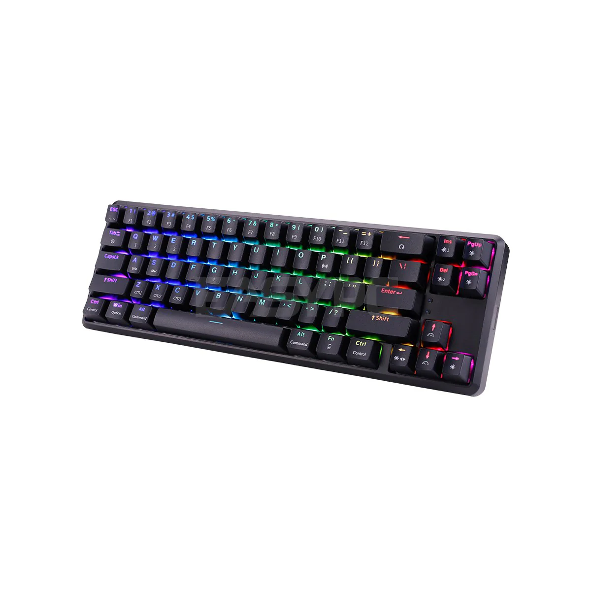 RAKK Pluma and Trimode 68 Keys RGB White and Black Mechanical Gaming Keyboard Outemu Red/Blue - Image 18