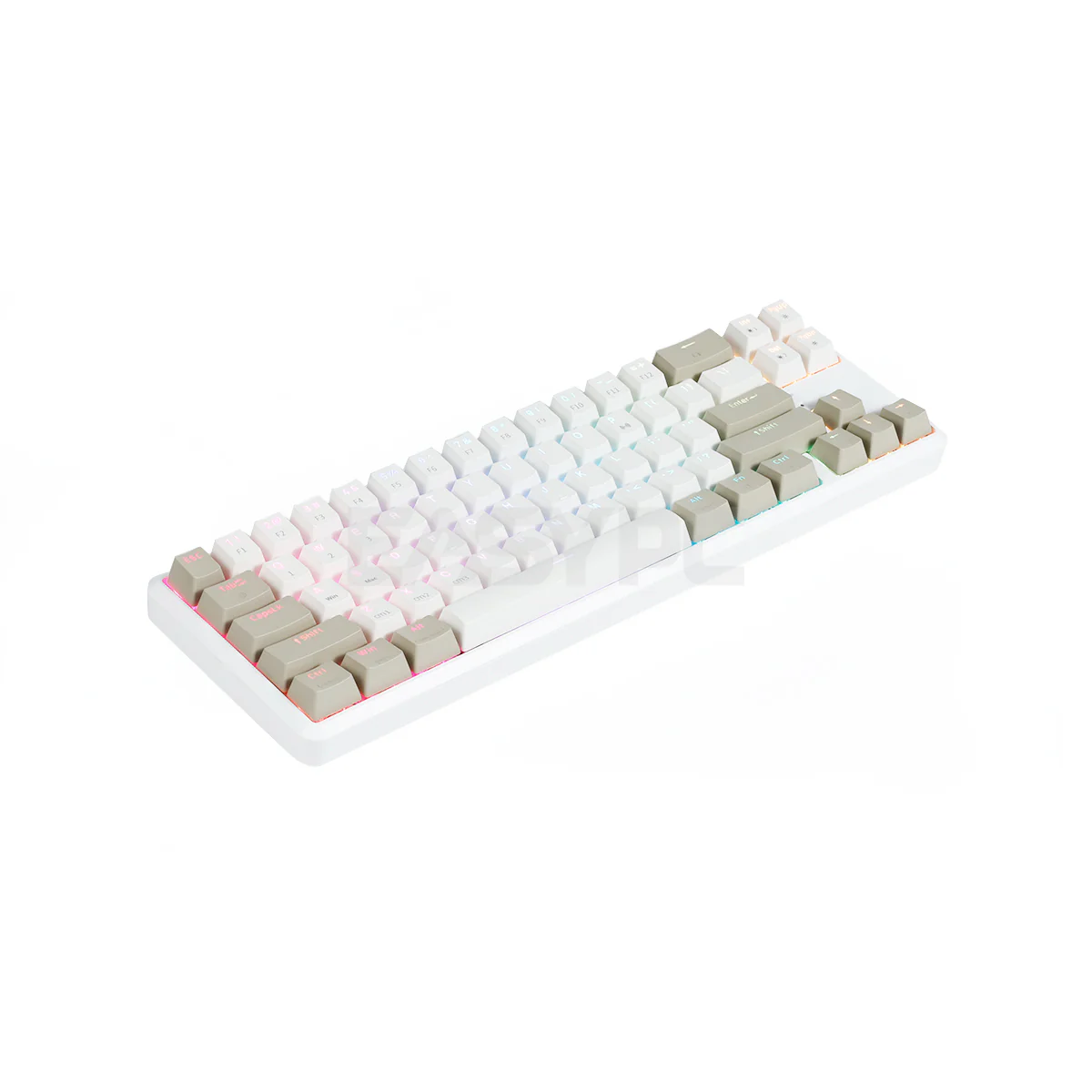 RAKK Pluma and Trimode 68 Keys RGB White and Black Mechanical Gaming Keyboard Outemu Red/Blue - Image 3
