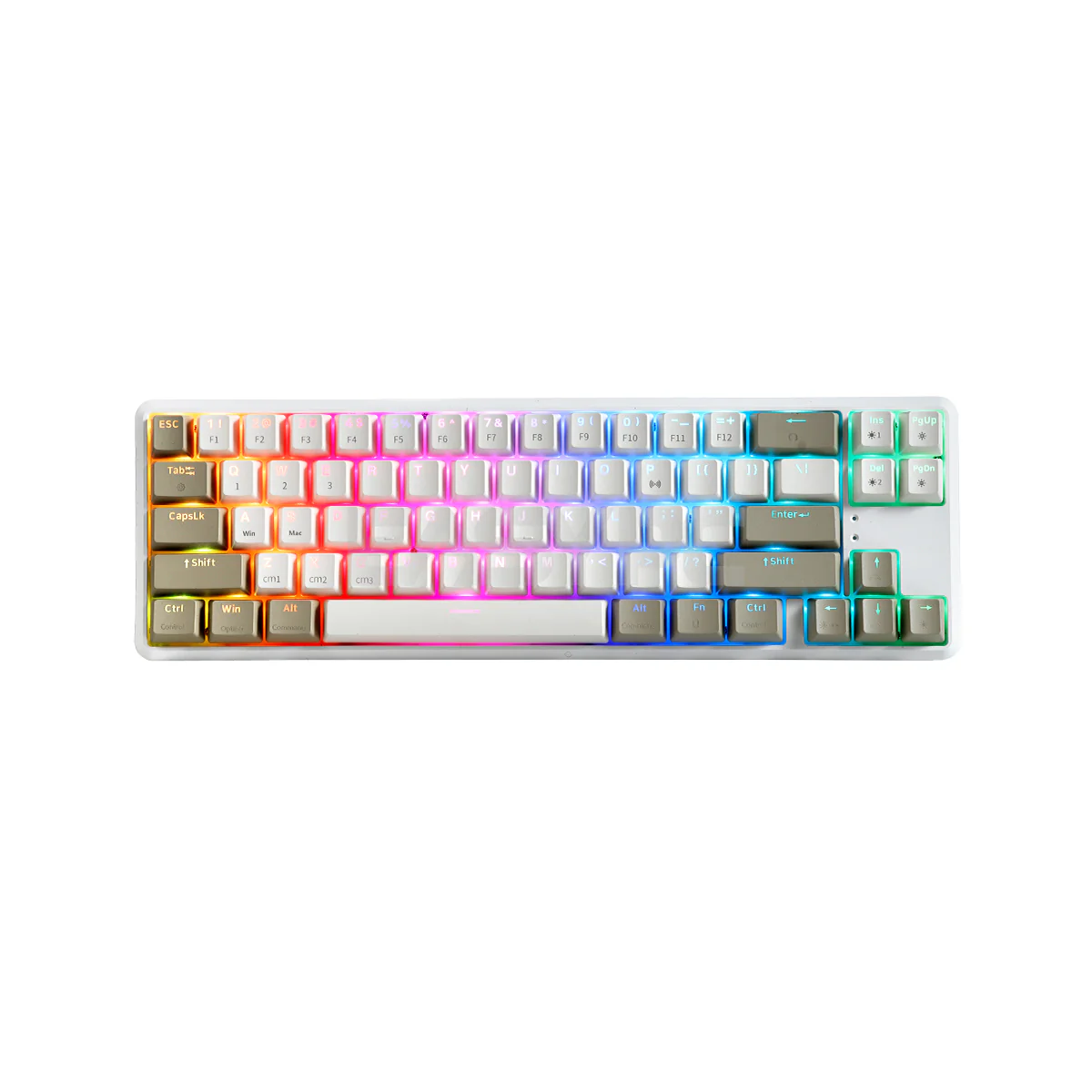 RAKK Pluma and Trimode 68 Keys RGB White and Black Mechanical Gaming Keyboard Outemu Red/Blue - Image 6