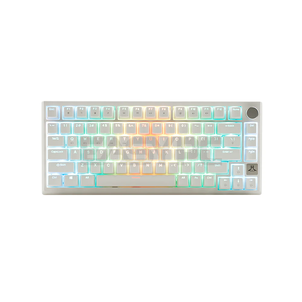RAKK TALA 81 Keys White / Trimode / RGB / Universal Hotswap / Gasket Mount / Brown Switch