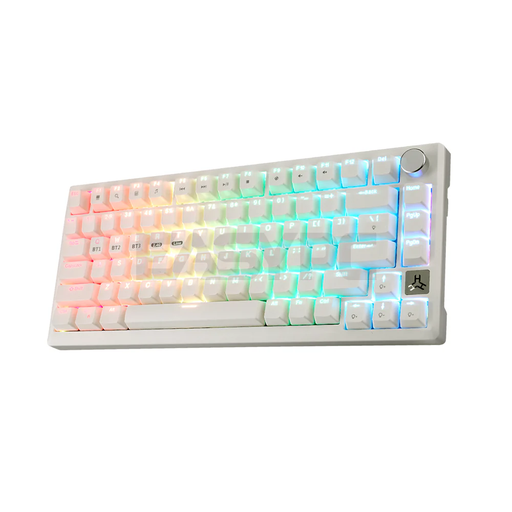 RAKK TALA 81 Keys White / Trimode / RGB / Universal Hotswap / Gasket Mount / Brown Switch - Image 3