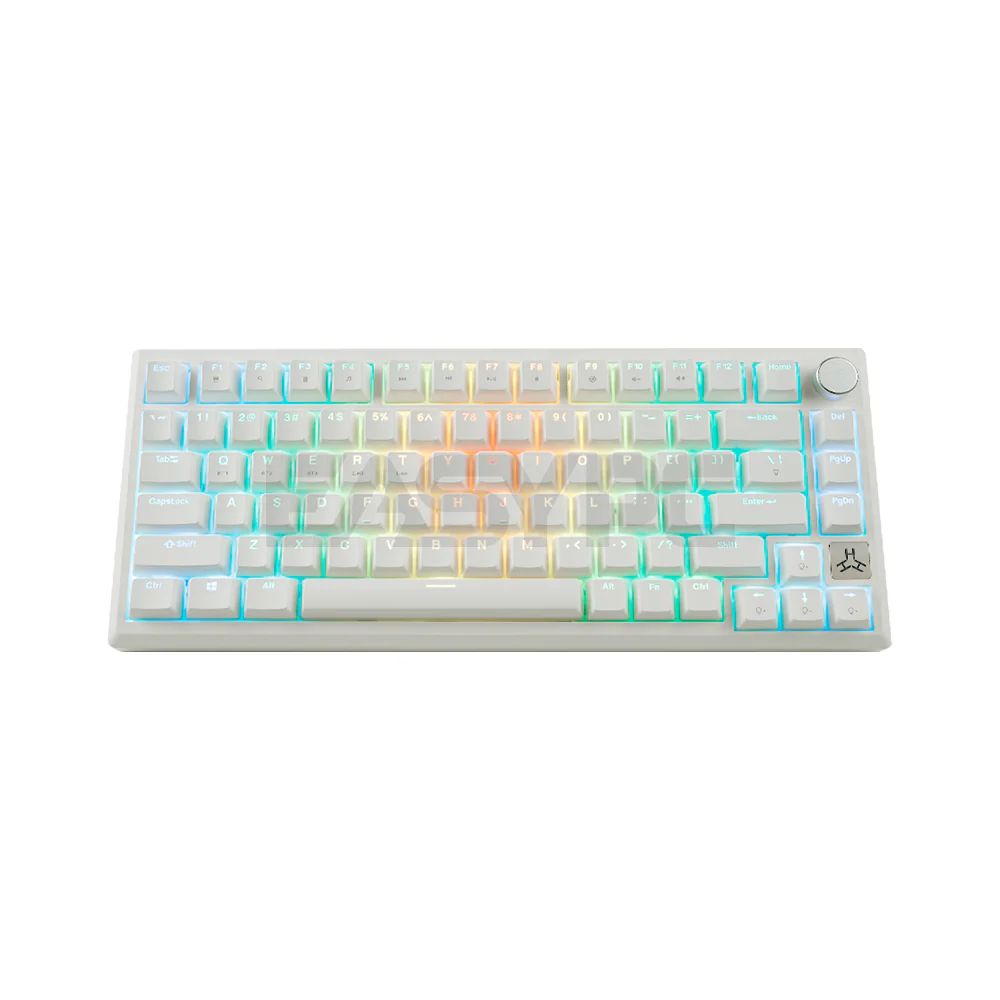 RAKK TALA 81 Keys White / Trimode / RGB / Universal Hotswap / Gasket Mount / Brown Switch - Image 4
