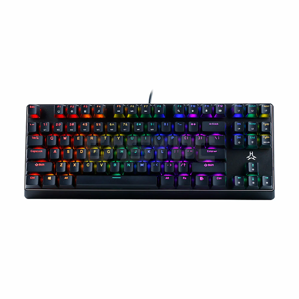 RAKK TANDUS V2 87 Keys Wired Gaming Keyboard/Seamless Doubleshot Keycaps/Rainbow LED/Outemu Blue