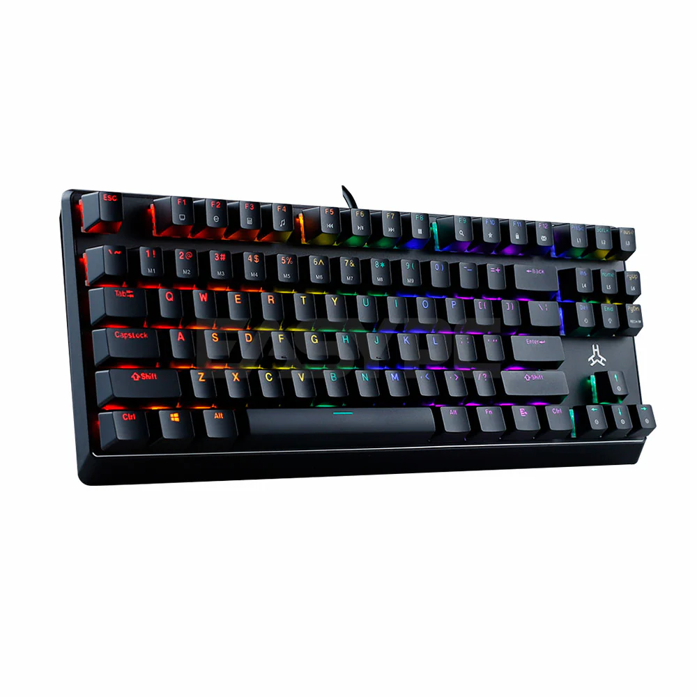 RAKK TANDUS V2 87 Keys Wired Gaming Keyboard/Seamless Doubleshot Keycaps/Rainbow LED/Outemu Blue - Image 3