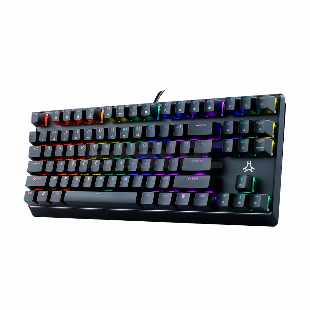 RAKK TANDUS V2 87 Keys Wired Gaming Keyboard/Seamless Doubleshot Keycaps/Rainbow LED/Outemu Blue - Image 4