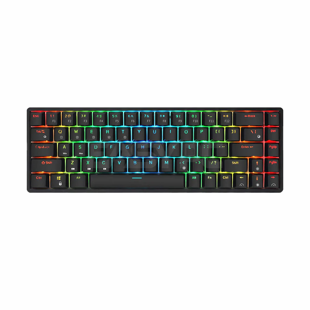 Royal Kludge G68 Full RGB Huano Brown and Blue Switch Black and White Wireless Keyboard - Image 6