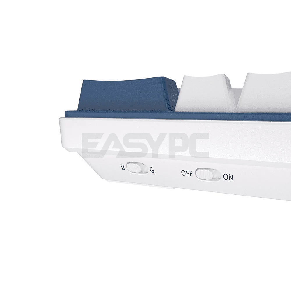 Royal Kludge RK61 Plus Trimode Blue switch Mechanical Keyboard White/ Klein Blue - Image 5