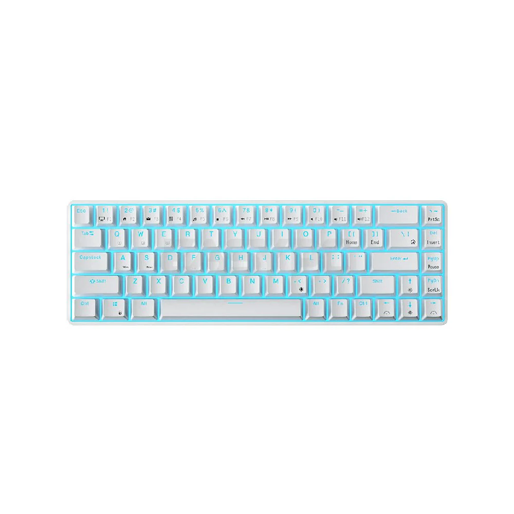Royal Kludge RKG68 Trimode Brown switch Mechanical Keyboard White